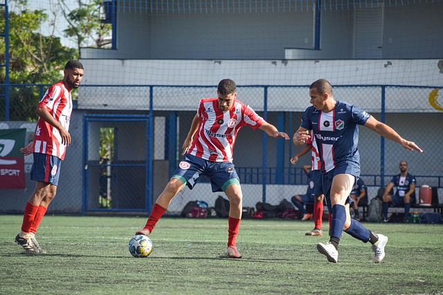 这不仅是对 这不仅是对