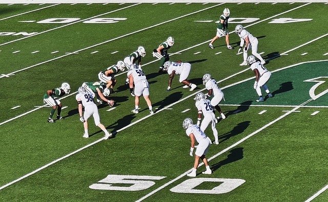 他们的失利 他们的失利