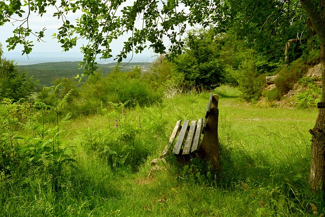 当时在比赛 当时在比赛